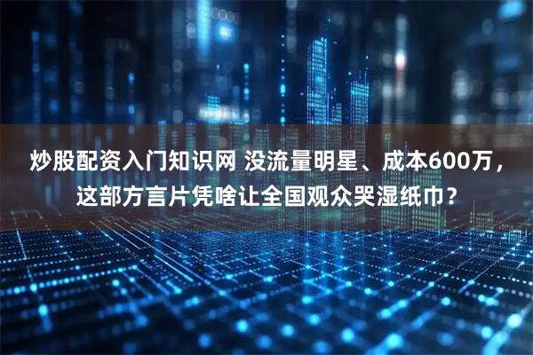 炒股配资入门知识网 没流量明星、成本600万，这部方言片凭啥让全国观众哭湿纸巾？